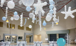 Ceiling_Snow2W