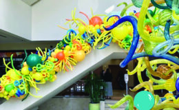 Chihuly1W