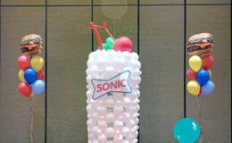 Sonic_DrinkW